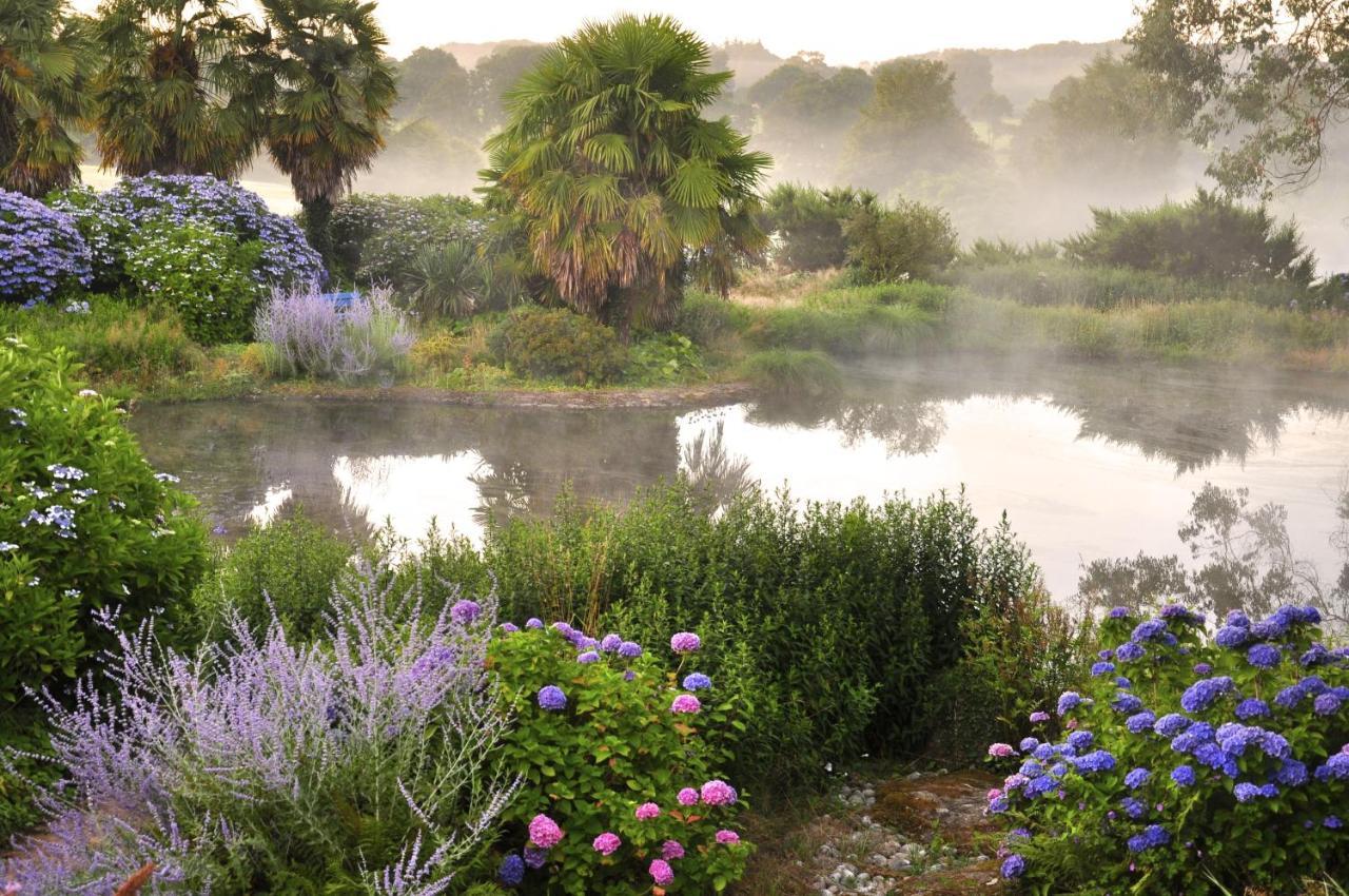 Bed & Breakfast Chateau De La Foltiere Le Chatellier (Ille-et-Vilaine)